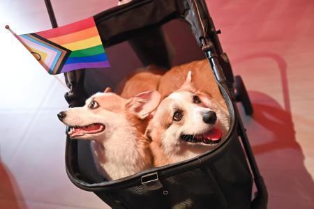 BANGKOK POST PRIDE DIALOGUE 2026 : Where Diversity, Culture and Economy Meet