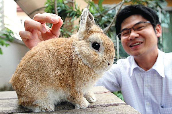 Good Pet Rabbit Lifespan Photography