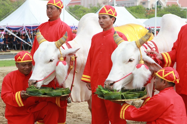 Royal Ploughing Ceremony 2012