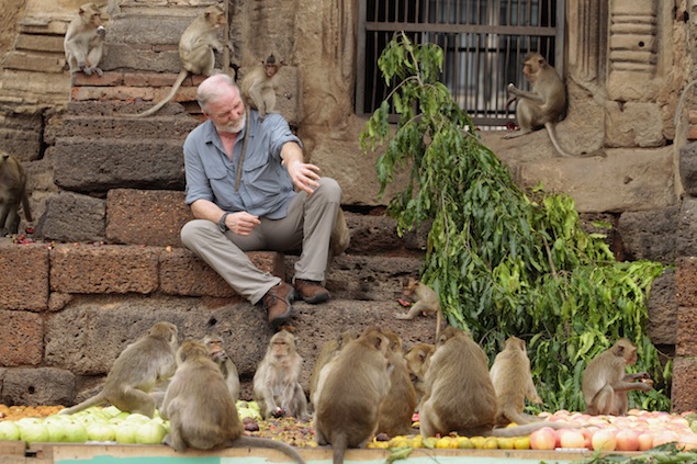 Lop Buri monkey banquet