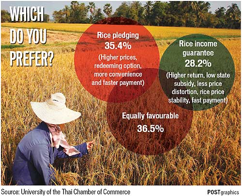 Se Rice Pledge Bangkok Post - The perils of rice pledging