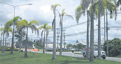 Image-Content