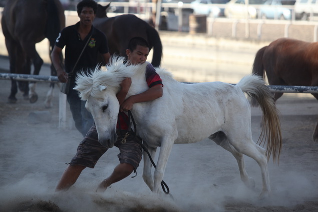 Photos of the week