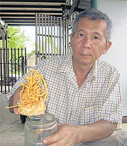 Bangkok Post - The mushroom treatment