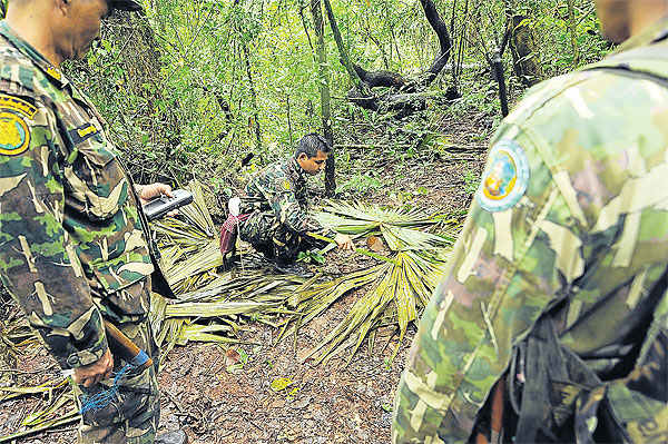 Bangkok Post - A different killer lurking in the forest