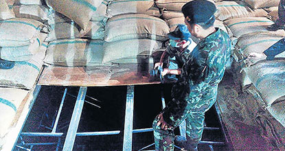 Rice check woes spread to 12 provinces