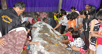 Thousands pray to 'holy' rock