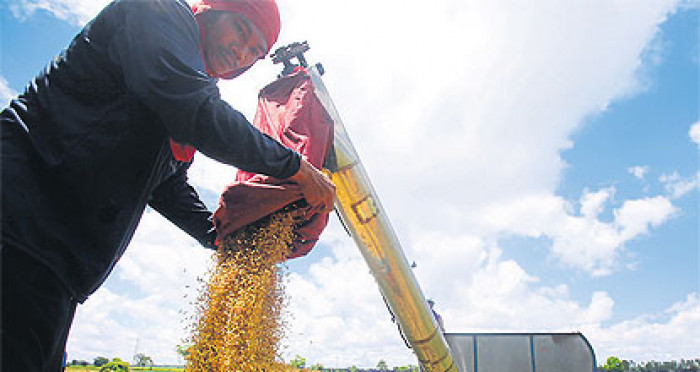Bangkok Post - Rice B680bn in the hole