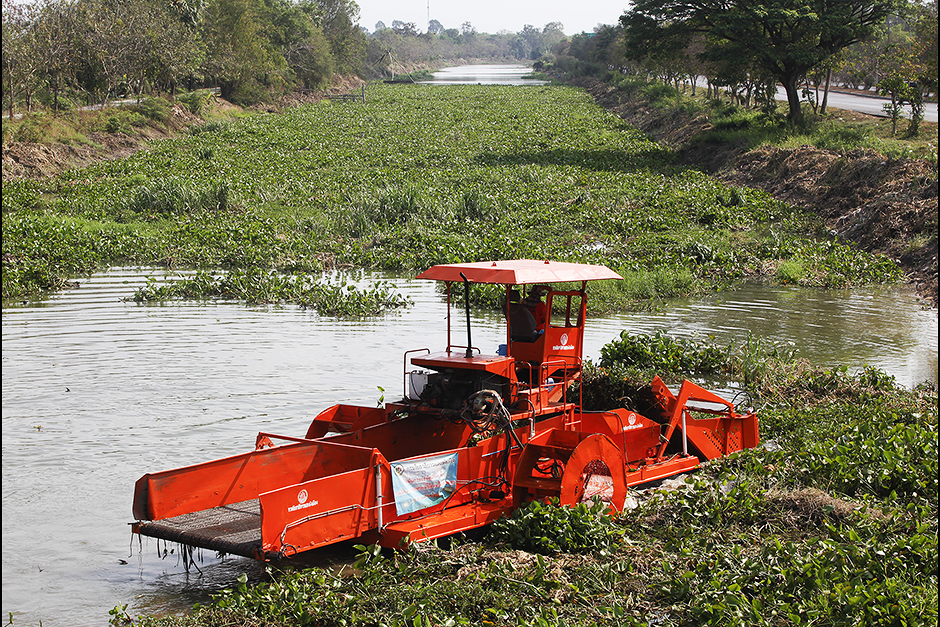The Department of Public Works and Town and Country Planning has brought in a machine to remove the vast carpets of water hyacinth in a canal in Nakhon Nayok. — Pattarapong Chatpattarasill