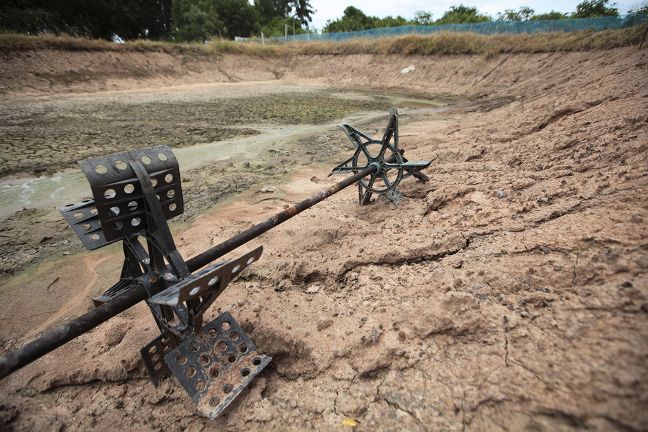 An abandoned shrimp farm in Suphan Buri's Don Chedi district. Farmers saw their ponds dry up as the water ran out and ended up losing 50,000 to 60,000 baht per shrimp farm. Photo by Patipat Janthong