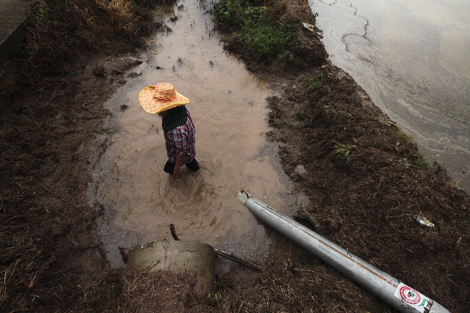 A farmer pumps water into his fields in Chai Nat's Sankhaburi district. Photo by Patipat Janthong.