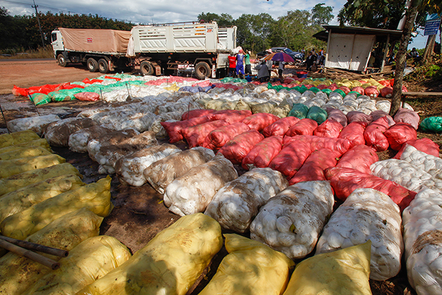 As rice mountain shrinks, a rubber one rises