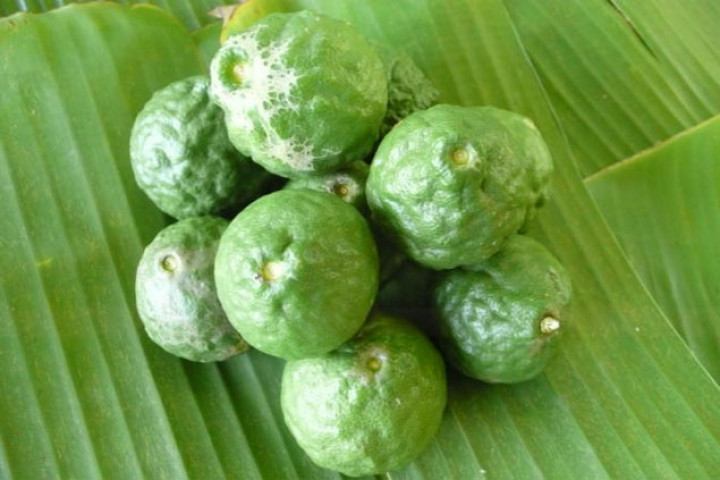 A sensational citrus