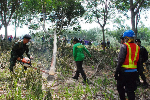 Officials begin razing illegal rubber plantations