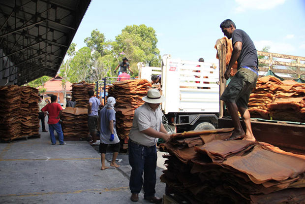 Vietnam urged to join rubber consortium