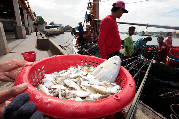 Fishing boat crews prepare their catch for market in Samut Sakhon. (Photo by Chanat Katanyu)