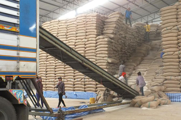 Rice-export target cut as drought hits