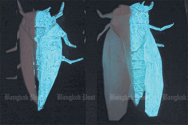 Silent Insect Bangkok Post - Silent insects hang out