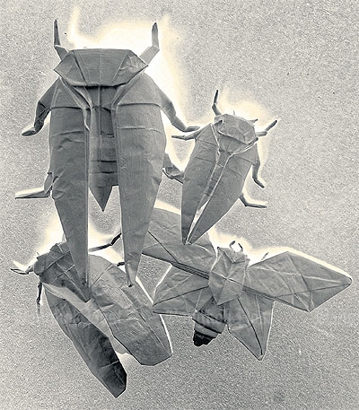 Silent Insect Bangkok Post - Silent insects hang out