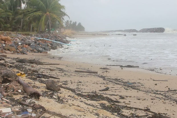 Tar balls pollute the coastling in Nakhon Si Thammarat province on Friday. (Photo by Nujaree Raekrun)