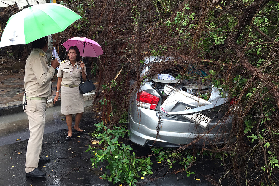 A car is damaged by a fallen tree in storm-hit Trat province. - Jakkrit Waewklaihong