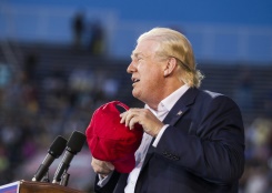 Trump S Hair Has Stylists Shaking Their Heads