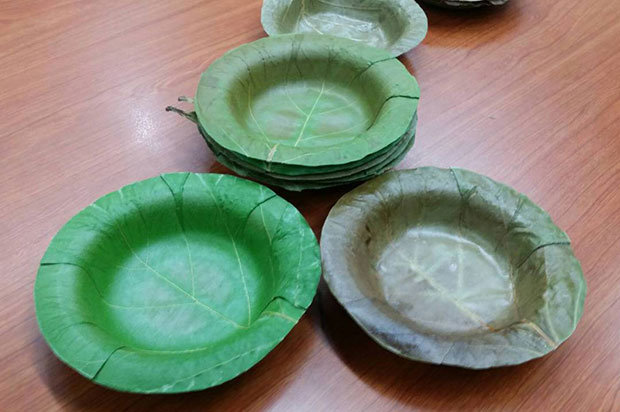 University develops leak-proof food bowls from leaves