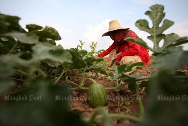 'Q mark' rated fruits, veggies fail toxic residue tests