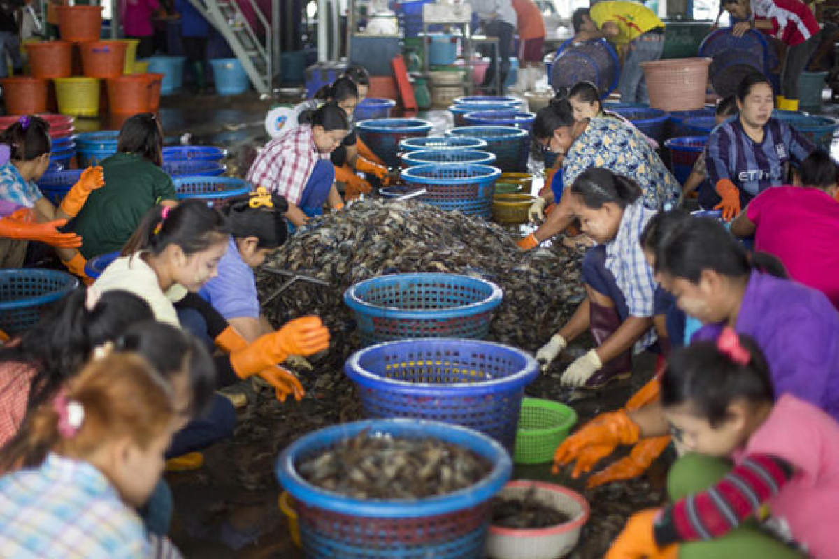 Bangkok Post - EU pressures Thailand on fish, labour reform