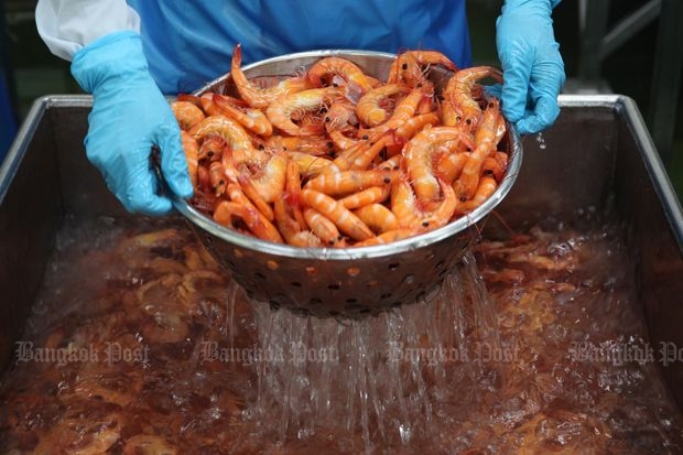 An employee cleans prawns before sorting them at a processing factory in Songkhla province owned by Thai Union on Feb 17, 2016. (Bangkok Post file photo)