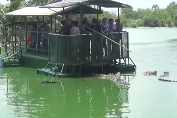 Officials try to feed crocodiles from a raft during an inspection of the Elephant Kingdom Pattaya on Friday. (Photo by Chaiyot Pupattanapong)