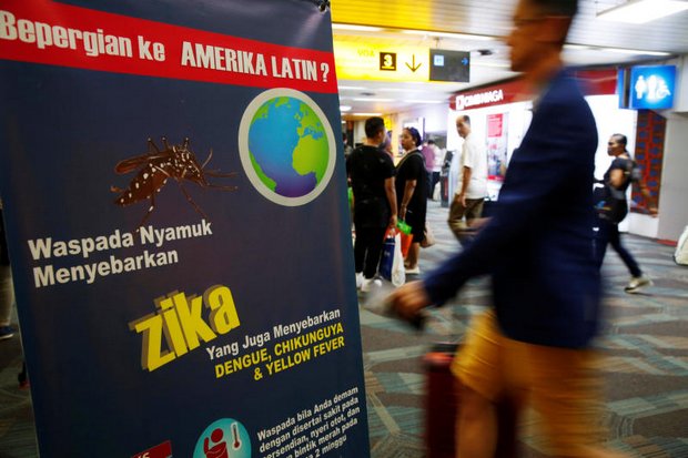 Officials play down Zika outbreak fears