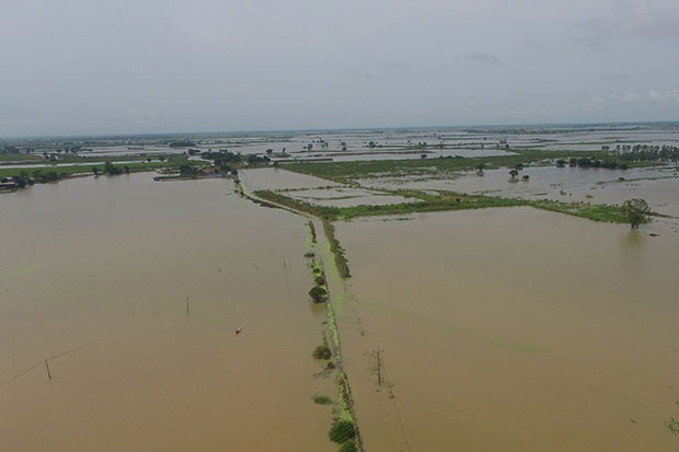 River overflows, floods 4,500 rai in Phitsanulok