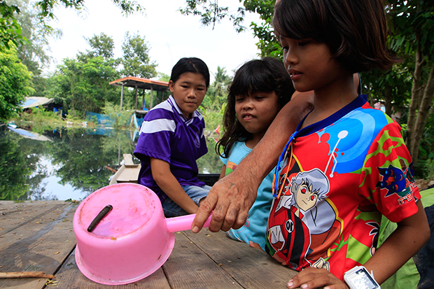 Leeches torment flood-hit villagers in Ayutthaya