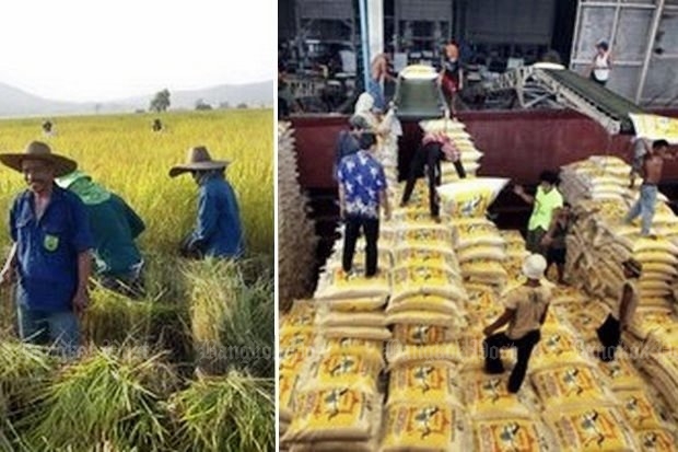 The junta's theory: Farmers grow and harvest the rice, then take it to the mills, where operators pay the farmers a pittance, prepare and bag the rice, and raise prices to get maximum profits. (File photos)