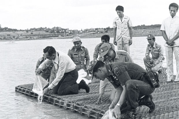 King Bhumibol Adulyadej first introduced pla nil to Thais in 1966 to solve nutritional problems among villagers in rural areas.