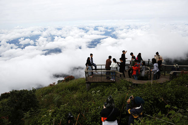 Tourists visit Doi Inthanon, the country’s highest peak, during the season's first cool spell in mid-November. (Photo by Karnjana Ayuwatanachai)