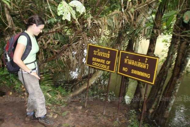 Tourist creeps too close to crocodile