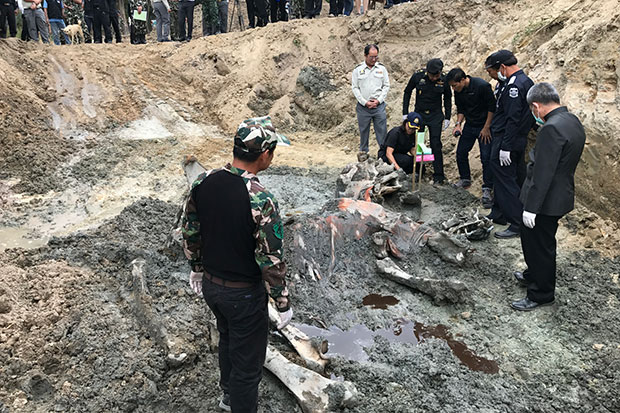 DNA tests begin on dead Hua Hin elephants