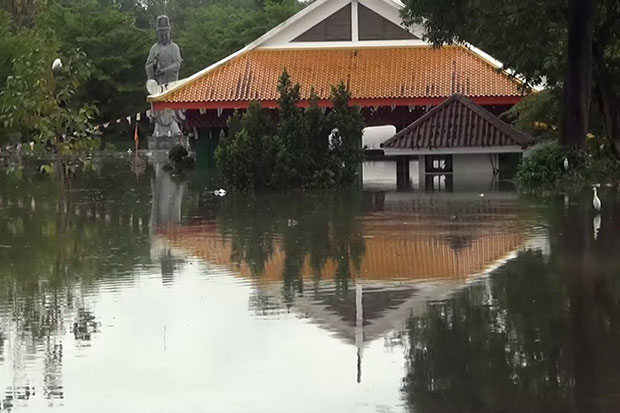 Crocs on loose not from municipal zoo