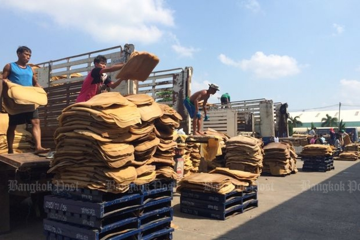 Digitizing Output Bangkok Post - Rubber authority expects 10% output loss