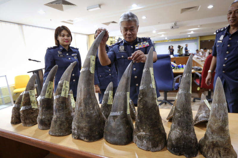 Malaysia seizes 18 rhino horns from Mozambique