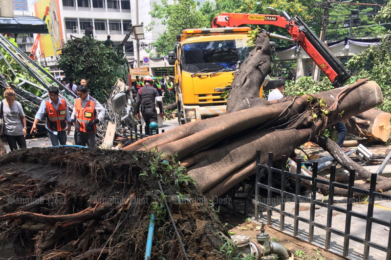 Woman killed by fallen power poles in Chidlom