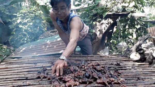 Bangkok Post - Grilled rats, a 'nu' way to boost rural incomes in Sukhothai