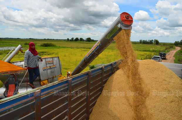 B1.7bn budget to cut second-crop rice output