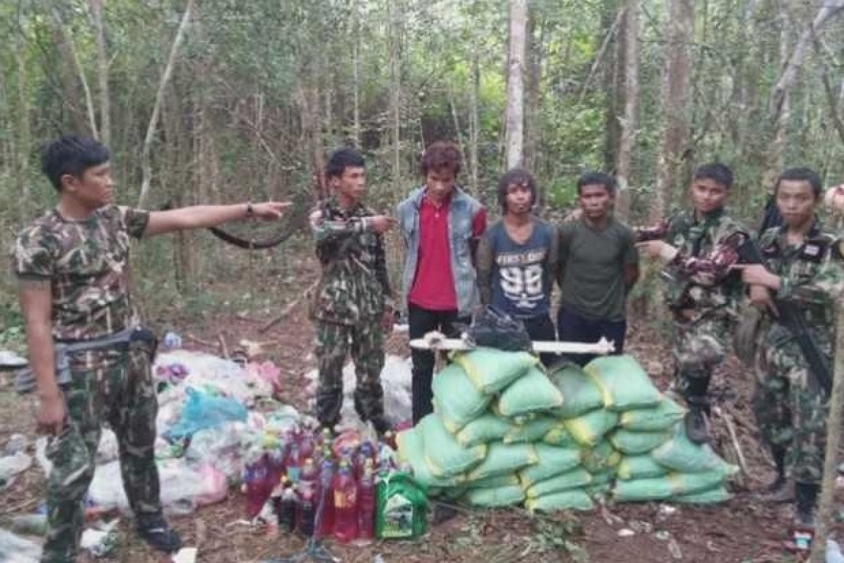 Bangkok Post - Log poachers caught by camera traps, detained