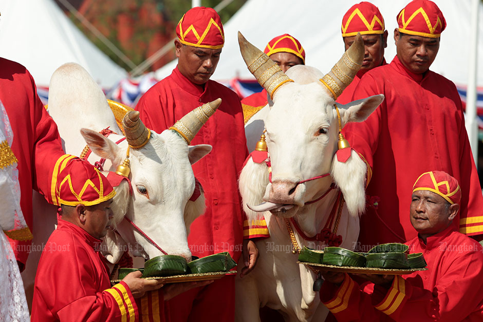 Bangkok Post - Photo gallery | Bangkok Post