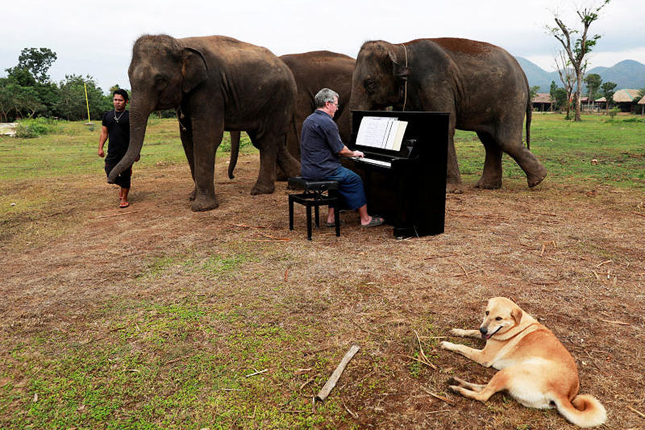 British volunteer Paul Barton plays piano for sick, abused, retired and rescued elephants in sanctuary along Thailand-Myanmar border in Kanchanaburi, Thailand, December 9, 2018. Paul has been playing piano for elephants as a volunteer for almost ten years. — Reuters