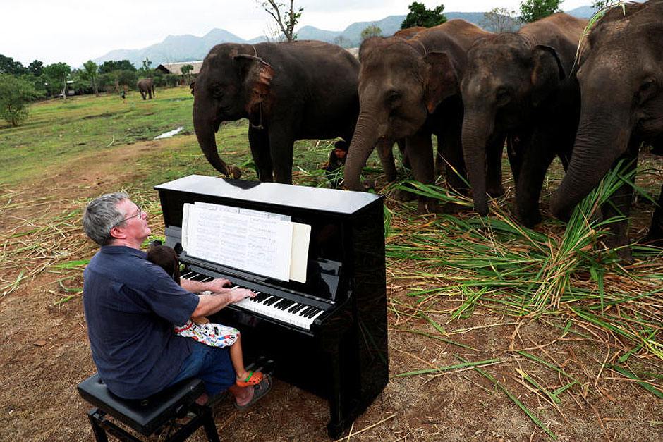 British volunteer Paul Barton plays piano for sick, abused, retired and rescued elephants in sanctuary along Thailand-Myanmar border in Kanchanaburi, Thailand, December 9, 2018. Paul has been playing piano for elephants as a volunteer for almost ten year. — Reuters
