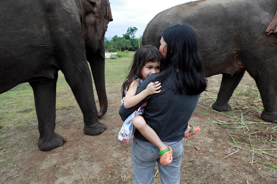 Emily Barton, 4, is seen before she and her father play piano for sick, abused, retired and rescued elephants in sanctuary along Thailand-Myanmar border in Kanchanaburi, Thailand, December 9, 2018. Paul has been playing piano for elephants as a volunteer for almost ten years. Picture taken December 9, 2018. — Reuters
